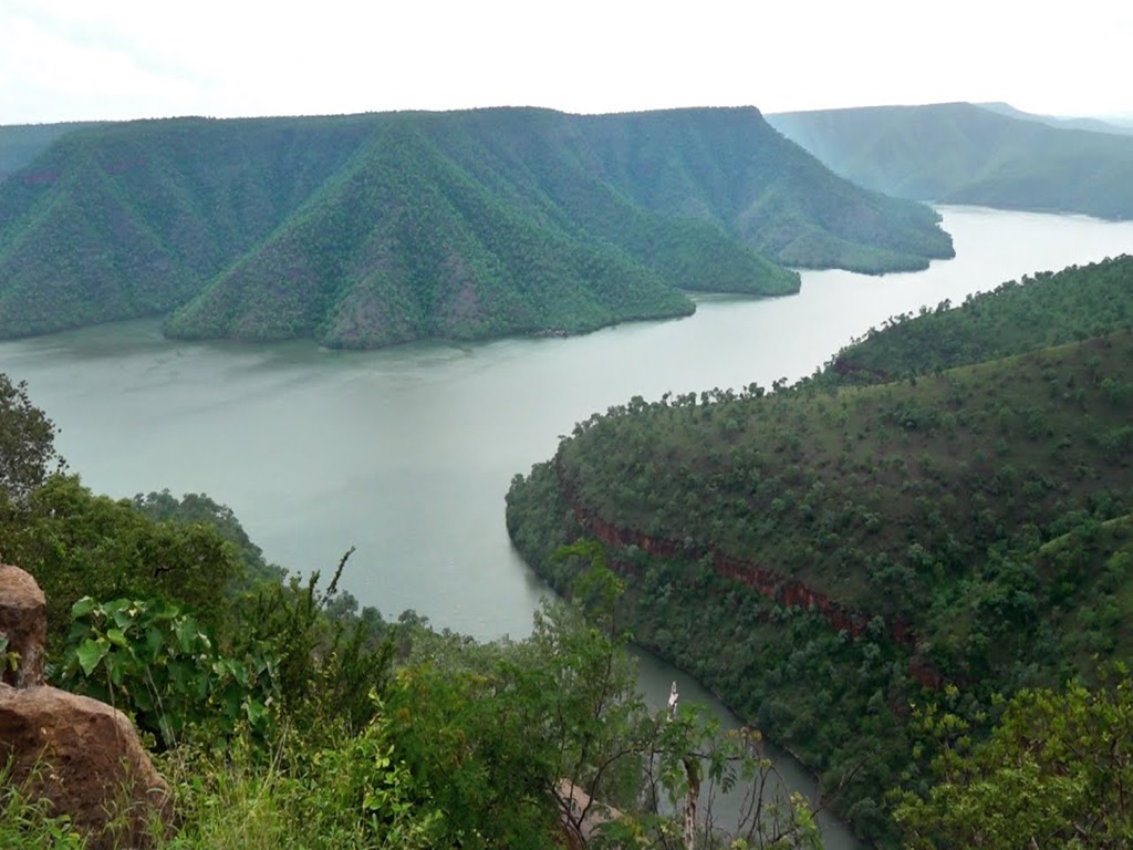 Octopus View Point